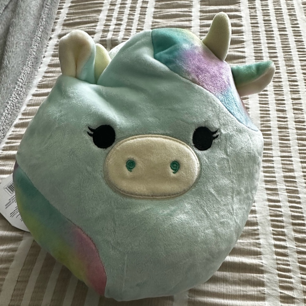 Caedin and cadya squishmellow